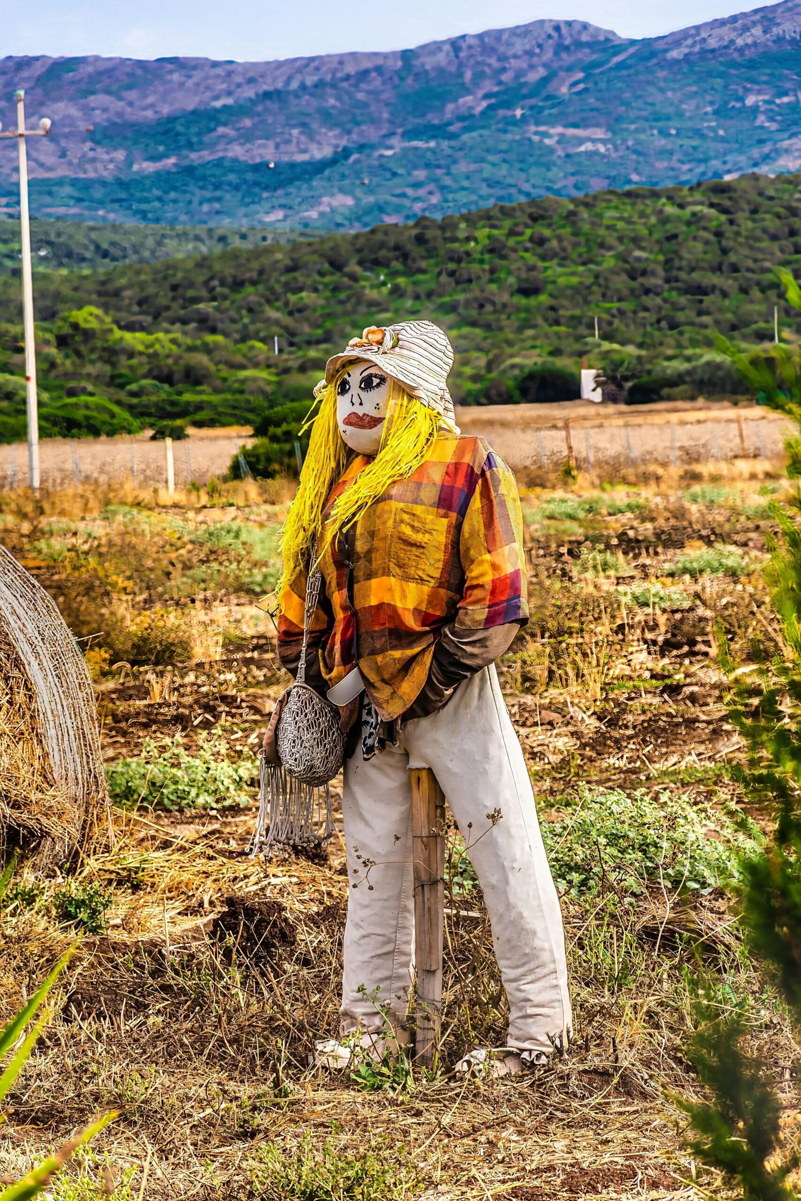 a scarecrow standing in a field with mountains in the background